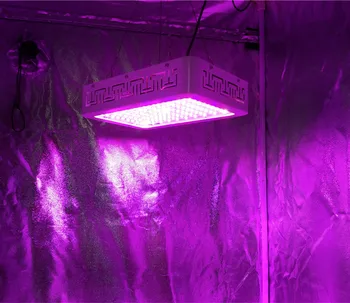 Pigūs led augti žiburiai 300w hydroponics led grow light raudonos ir mėlynos spalvos geriausiai tinka augalų žydėjimo ir derėjimo